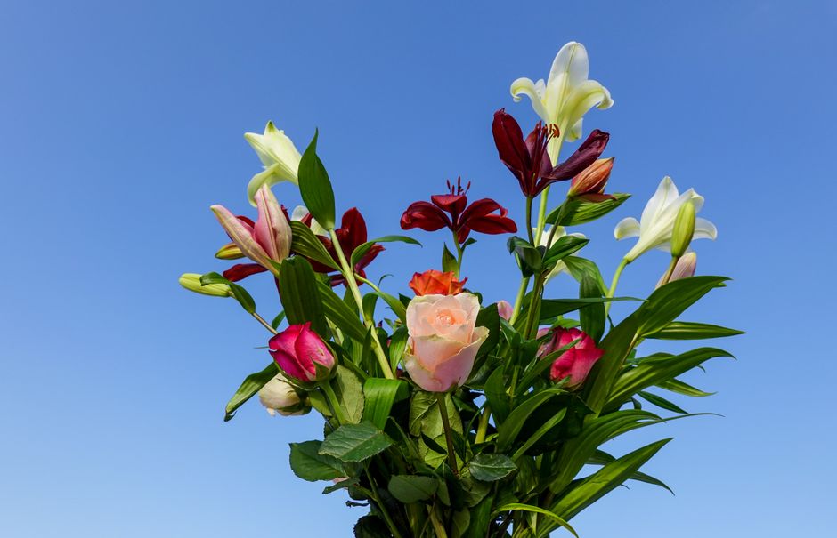 A bouquet of fresh flowers held against a clear blue sky features a variety of blooms including white lilies with wide-open petals, pink roses with tightly bundled petals, dark red lilies with downwar